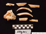 L_V20d5061 A16q30.1 R827 lR ta human bones in q-lot.JPG L_V20d5061 A16q30.1 R827 lR ta human bones in q-lot